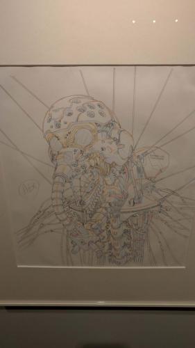 Detalle cabeza de pruebas Evangelion